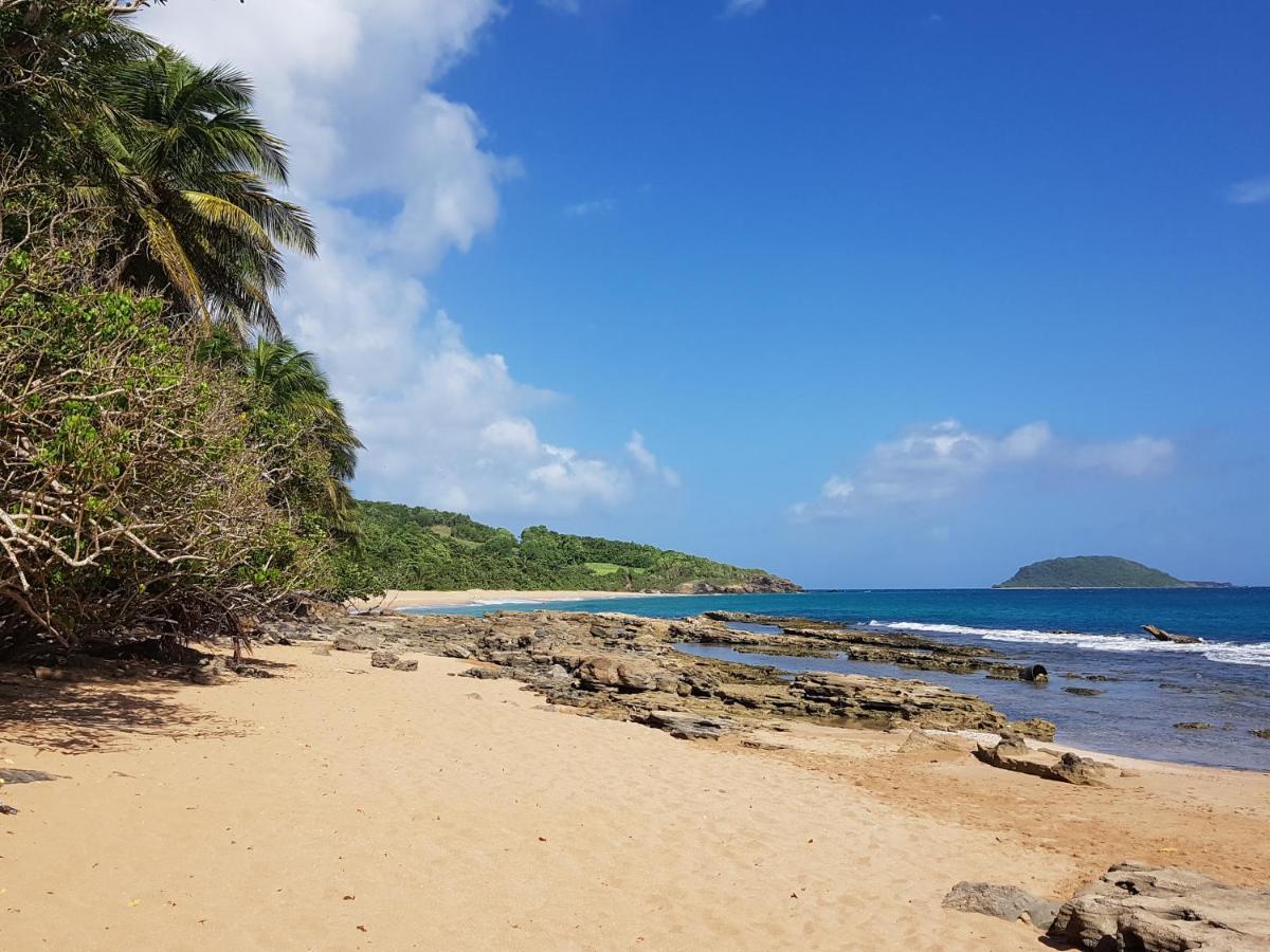 L'Aurielle, Tout Le Confort A 500M De La Plage Sainte-Rose Ngoại thất bức ảnh